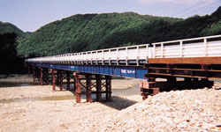 Pre-Girder Bridge